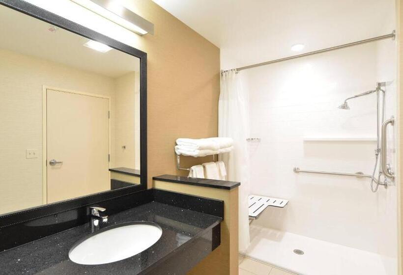 스탠다드 룸 킹사이즈 침대, Fairfield Inn & Suites By Marriott Eau Claire/chippewa Falls