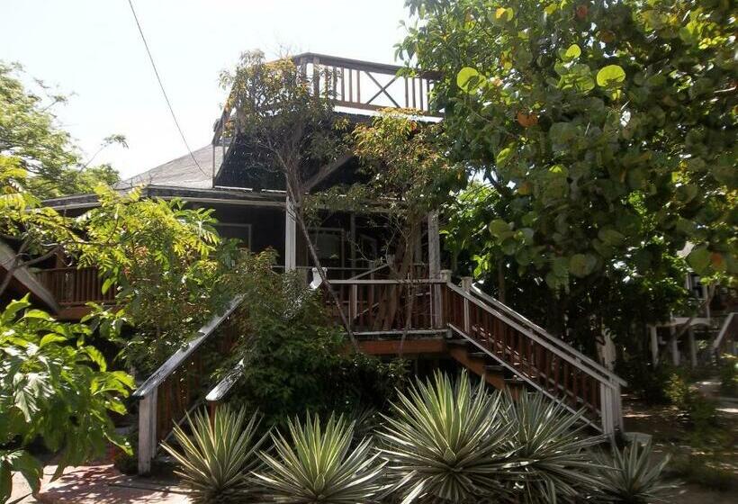 بانگلوی استاندارد, Fosters West Bay Resort