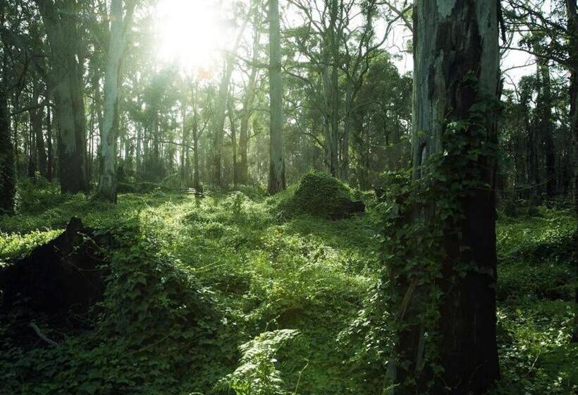 سوئیت با چشمانداز, Heritage Trail Lodge