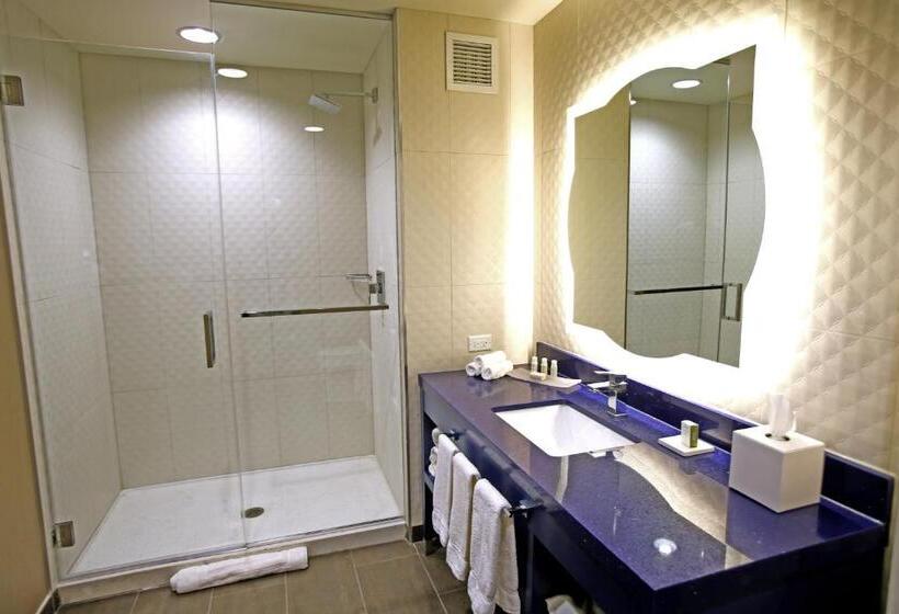 障害者適応デラックスルーム, Indigo Naperville Riverwalk, An Ihg