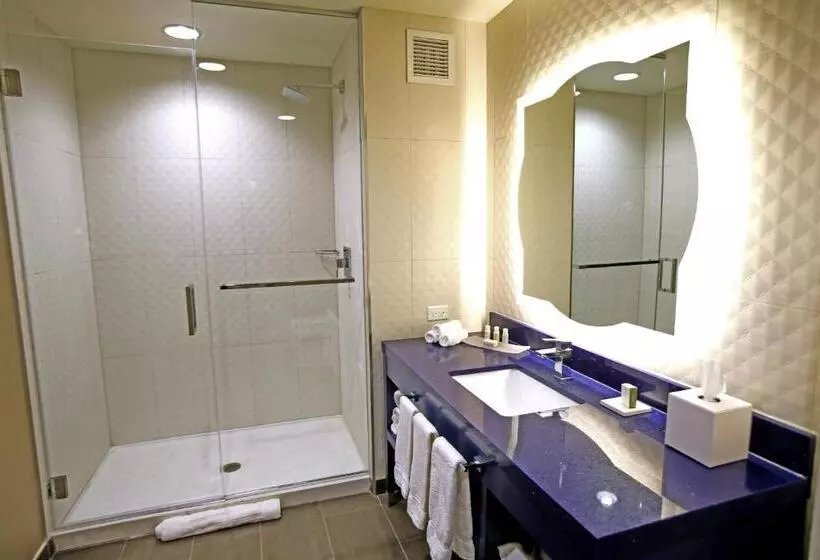 障害者適応デラックスルーム, Indigo Naperville Riverwalk, An Ihg