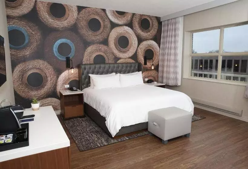 ダブルベッドスタンダードルーム, Indigo Naperville Riverwalk, An Ihg