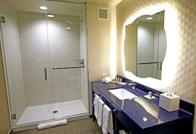 スイート, Indigo Naperville Riverwalk, An Ihg