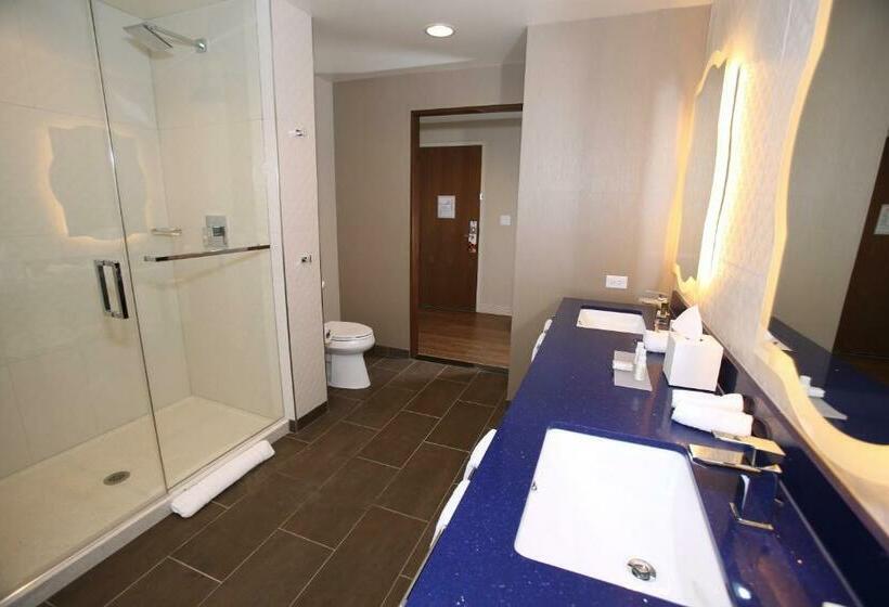 キングサイズベッドのスタンダードルーム, Indigo Naperville Riverwalk, An Ihg