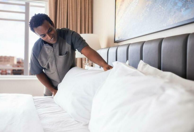 带大床的小型套房, The Westin Buffalo