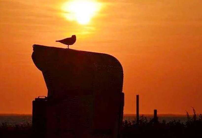 스탠다드 룸, Up Diek