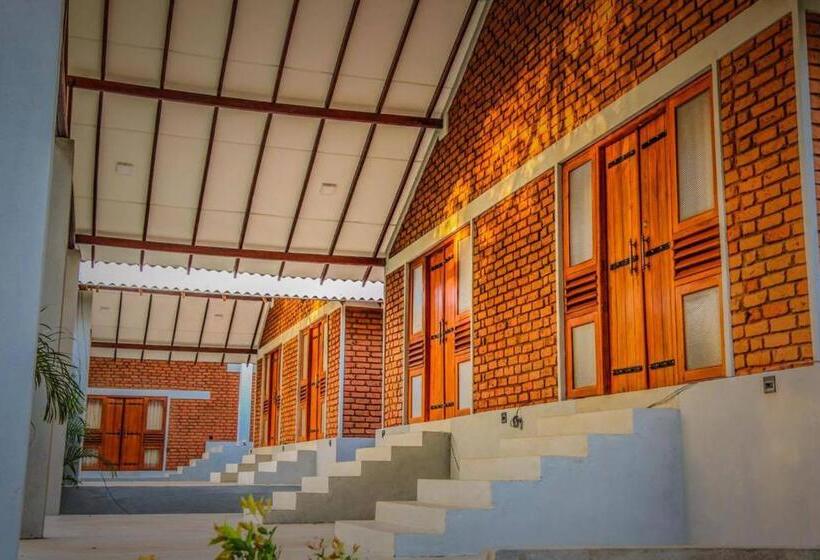 غرفة ديلوكس, Viverra