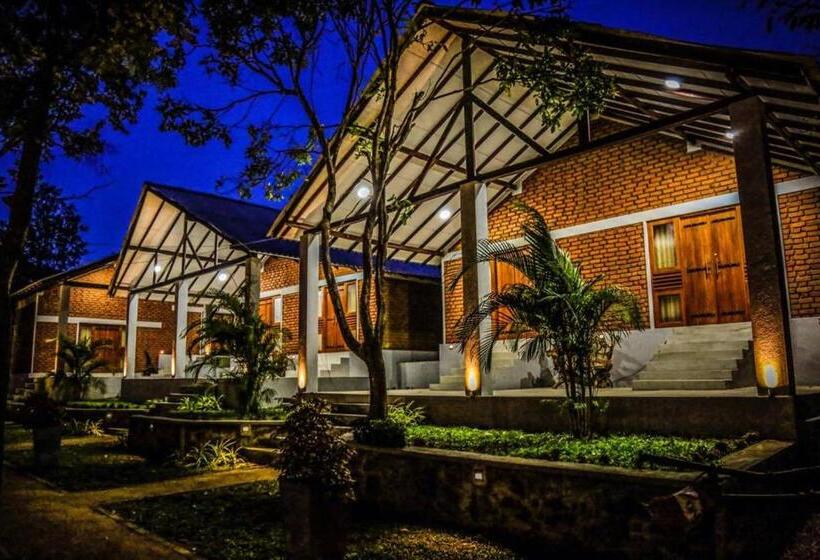 غرفة ديلوكس, Viverra