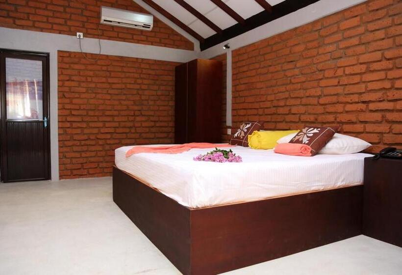 غرفة ديلوكس, Viverra