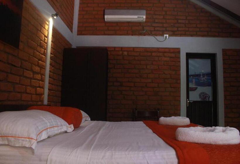 غرفة ديلوكس, Viverra