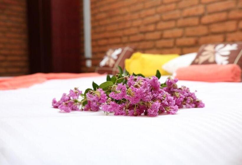 غرفة ديلوكس فردية, Viverra