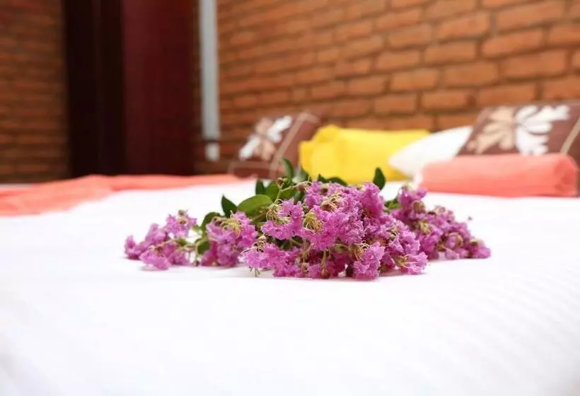 Deluxe Yhden Hengen Huone, Viverra