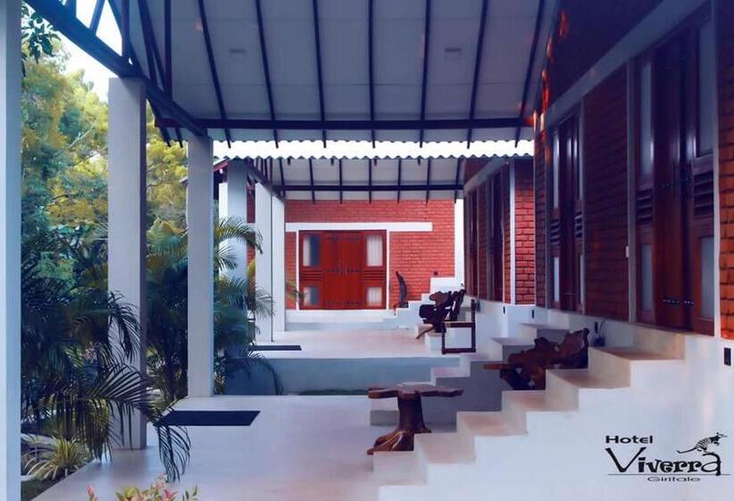 غرفة ديلوكس ثلاثية, Viverra