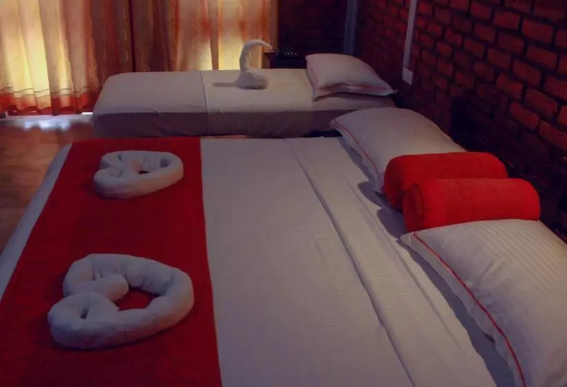 Deluxe Kolmen Hengen Huone, Viverra