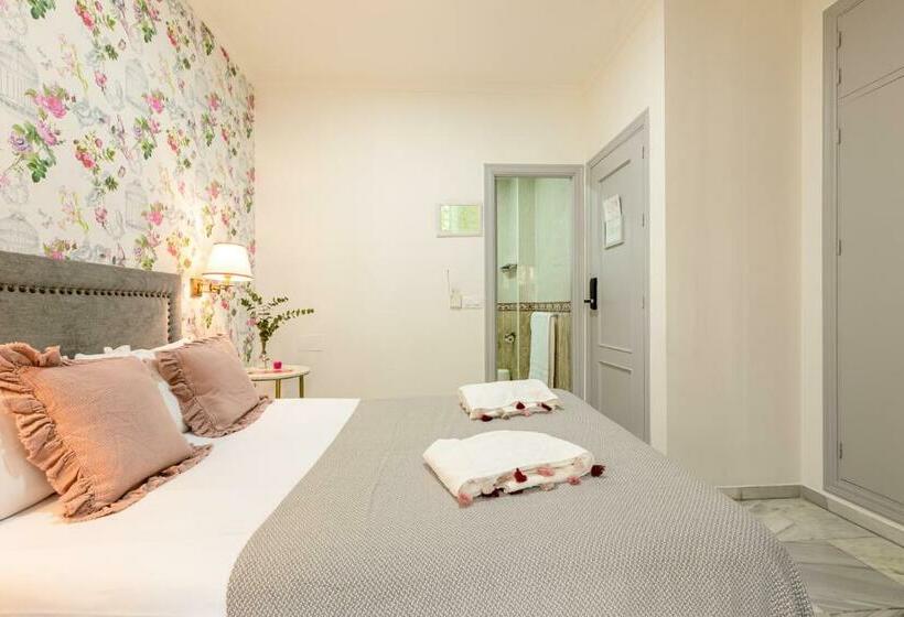 اتاق اکونومی, Nüa Alameda