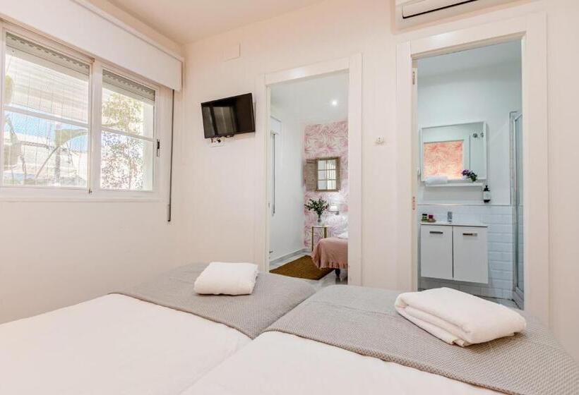 اتاق سوپریور سه تخته, Nüa Alameda