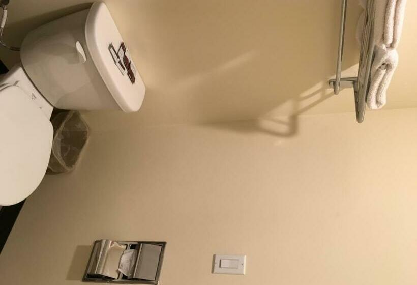 غرفة قياسية, Lincoln Park Motel