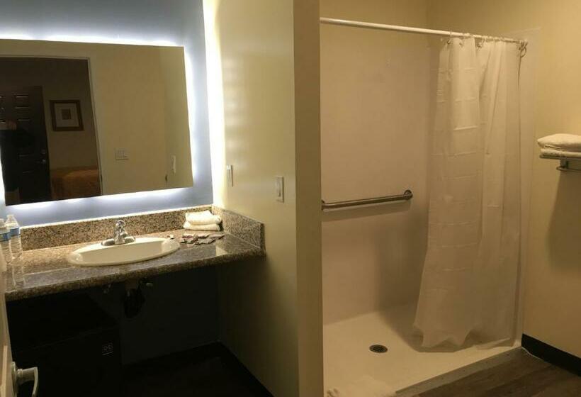 غرفة قياسية, Lincoln Park Motel