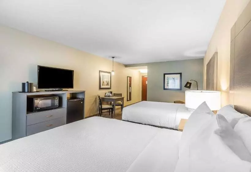 スタンダードルーム, Marina Bay Hotel & Suites, Ascend Hotel Collection