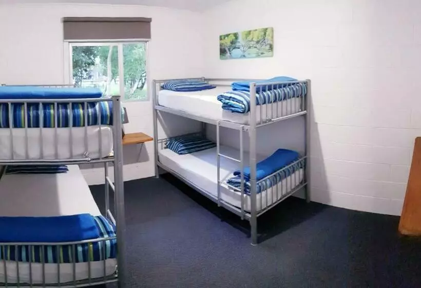 تختخواب در اتاق مشترک, Happy Apple Backpackers