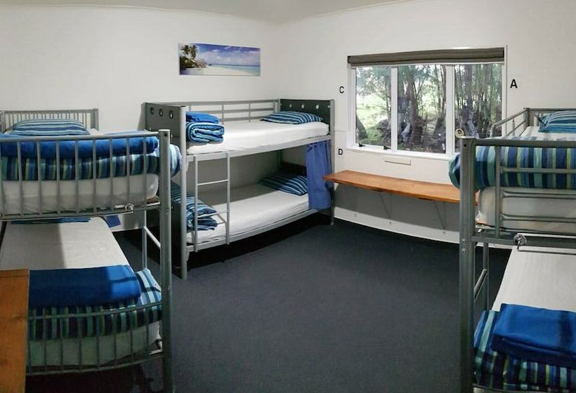 Кровать в Общей Комнате, Happy Apple Backpackers