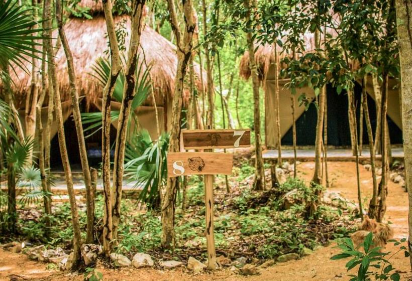 اتاق استاندارد با تخت بزرگ, Akumal Natura Glamping