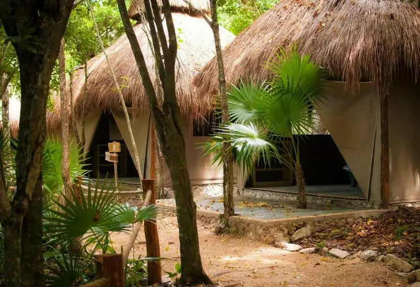 キングサイズベッドのスタンダードルーム, Akumal Natura Glamping