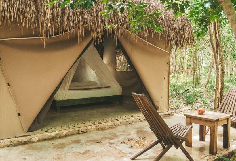 اتاق استاندارد با تخت بزرگ, Akumal Natura Glamping
