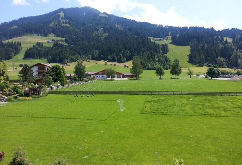 Полулюкс, Alpenhof