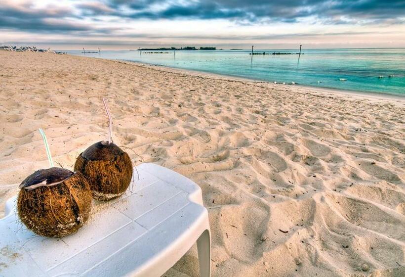 اتاق استاندارد با تخت بزرگ, Courtyard By Marriott Nassau Downtown/junkanoo Beach
