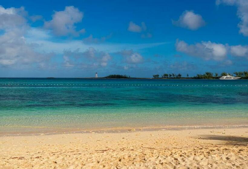 اتاق استاندارد با تخت بزرگ, Courtyard By Marriott Nassau Downtown/junkanoo Beach