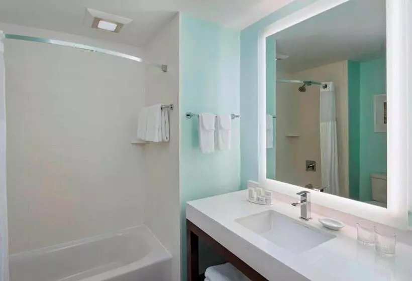 اتاق استاندارد با چشم‌انداز دریا, Courtyard By Marriott Nassau Downtown/junkanoo Beach
