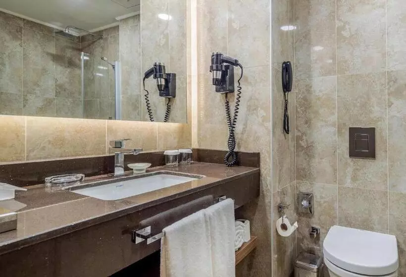 اتاق استاندارد با چشم‌انداز, Holiday Inn Antalya   Lara, An Ihg
