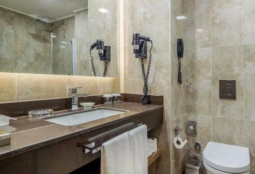 اتاق استاندارد با چشم‌انداز شهر, Holiday Inn Antalya   Lara, An Ihg