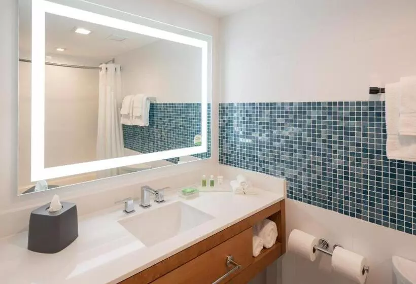 اتاق اجرایی با تخت بزرگ, Doubletree By Hilton Miami North I 95