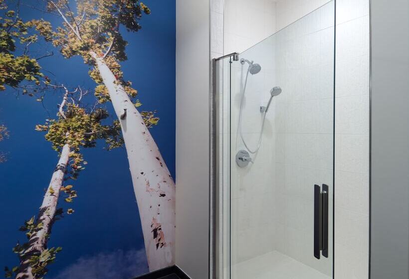 장애인을 위한 스위트, Indigo Tuscaloosa Downtown, An Ihg