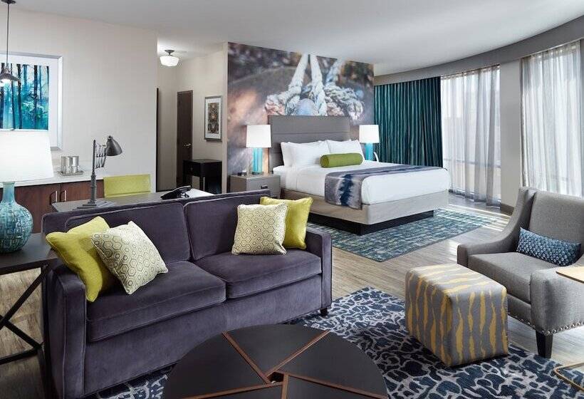 Люкс Адаптированный для Инвалидов, Indigo Tuscaloosa Downtown, An Ihg