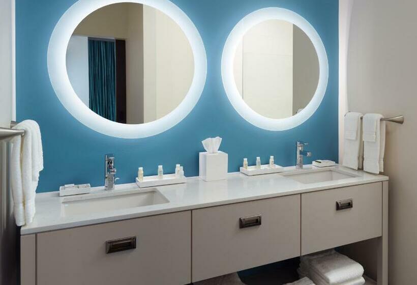 Номер Стандарт, Indigo Tuscaloosa Downtown, An Ihg
