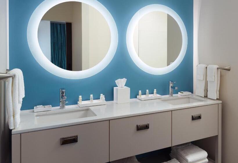 장애인을 위한 스탠다드 룸, Indigo Tuscaloosa Downtown, An Ihg