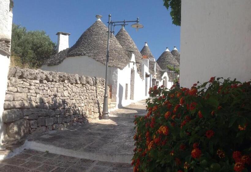 اتاق سوپریور, Tipico Resort