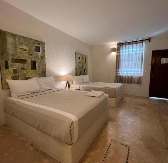 スタンダードルーム, Biulú