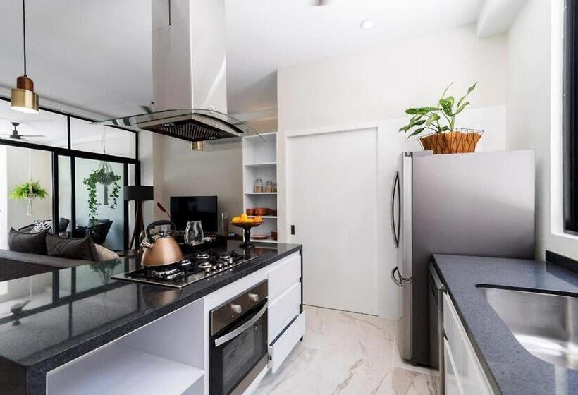 １階の１ベッドルームアパートメント, Biulú