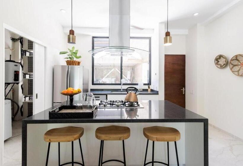 １階の１ベッドルームアパートメント, Biulú