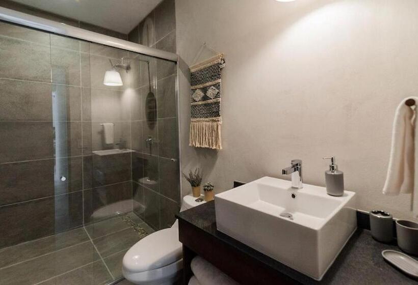 １階の１ベッドルームアパートメント, Biulú