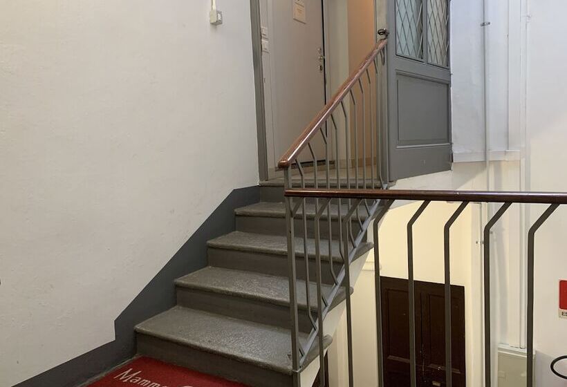 شقة أساسية غرفة واحدة, Mamma Ciccia