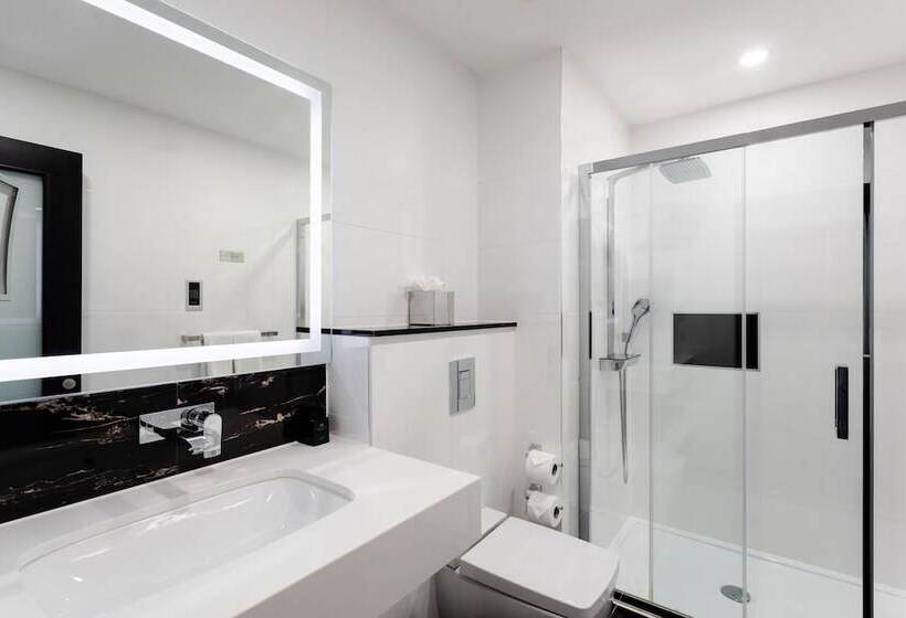Полулюкс, Montcalm Royal London House, London City
