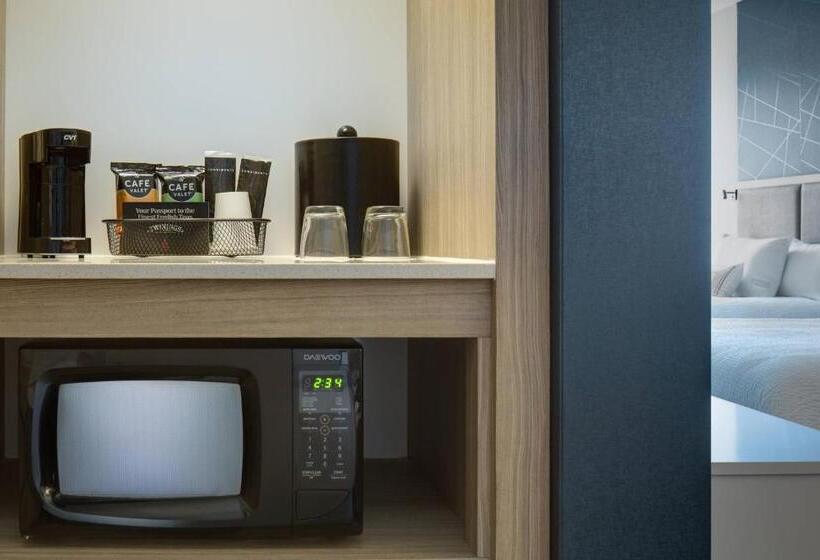 Студия Superior, Springhill Suites By Marriott Oklahoma City Midwest City Del City