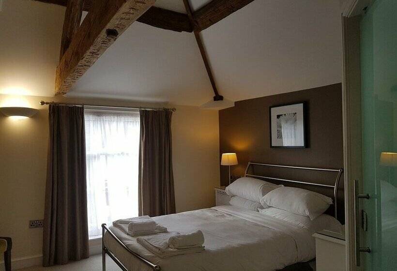 غرفة قياسية, The Lion