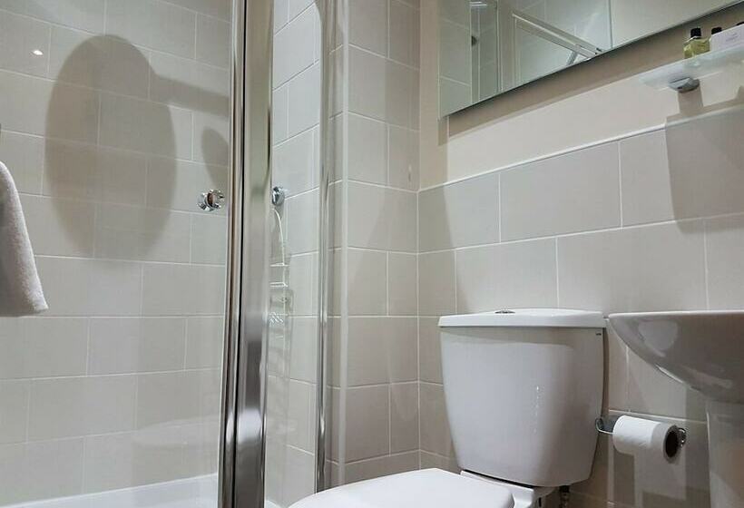 غرفة قياسية, The Lion