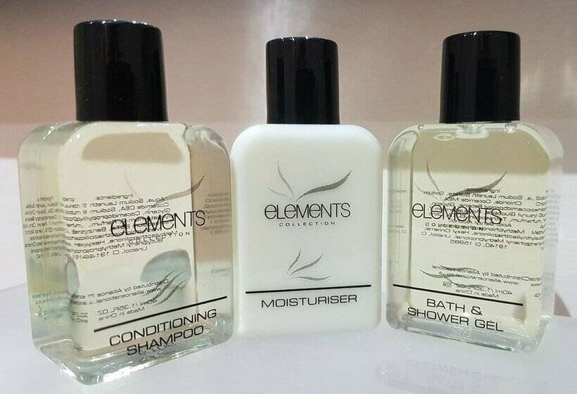 غرفة قياسية, The Lion